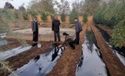 不误墒情 强抓时令——瓦斜乡全力推进金银花栽植工作