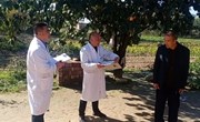中村镇开展残疾人鉴定上门办证服务活动