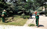 宁县：全面整治城乡人居环境 着力提升城乡居民生活品质