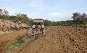 春荣镇：盘活“荒山地” 种出“新生机”