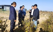 省乡村振兴局副局长张福旺一行来宁县调研东西部协作工作