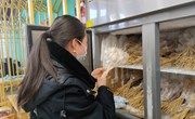 宁县市场监督管理局开展“随机查餐厅” 活动