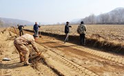春荣镇：“粮田”变“良田” 高标准农田建设赋能乡村振兴