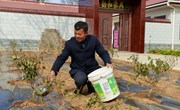 宁县：“方寸地”变“聚宝盆”