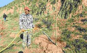 宁县：植树造林添新绿 共建生态好家园