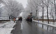 中村镇：清雪除隐患 安全有保障