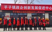 平子镇政企创新发展促进中心正式成立并举行揭牌仪式