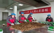 康盛源药业：求新求变求发展 奋进奋勇奋争先