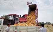 2023年宁县种植粮食作物77.24万亩