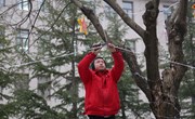 宁县：挂灯笼 装彩灯 年味渐浓