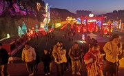 灯耀宁州人气旺 不夜城里年味浓