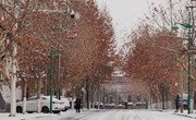 县城管局：全力以赴迎战冰雪 凝心聚力保路畅通