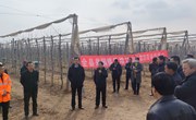 宁县举办果园提质增效及防霜冻现场观摩会