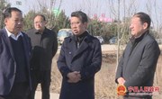 段登云督查调研世宁新材料项目推进情况