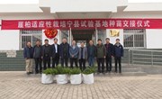 崖柏适应性栽培宁县试验基地种苗交接仪式举行
