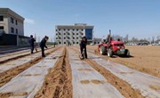宁县收费所：植绿种菜大扫除 幸福家园“换新颜”