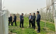 姚德学调研政协委员工作室建设及苹果 产业防灾减灾工作