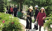 宁县：牡丹绽放春满园 游人如织赏花来