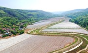 宁县：小辣椒“蔬”写乡村大产业