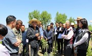 瓦斜乡开展金银花栽植管护技术培训