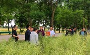 汤松来宁县调研旱寒区冬油菜扩面积 提产能工作