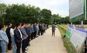 庆阳市小麦生产观摩组来宁县观摩冬小麦新品种示范展示暨良种繁育示范点