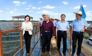 市直退休干部来宁县观摩调研