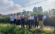 县政协组织开展全县瓜菜产业“互促互学”主题活动