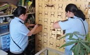 宁县市场监管局开展低温冷藏药械专项检查