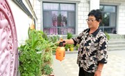 宁县盘克镇：庭院“方寸地”绘就和美乡村新画卷
