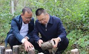 孟乾坤到盘克镇调研当前重点工作