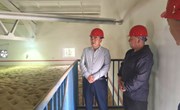 张海涛调研全县粮食储备工作