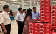 李隆基一行来宁县开展政协“大调研”活动