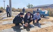 王建广督查调研秋季金银花补栽植 瓜菜产业和东西部协作乡村振兴示范村建设项目