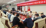 全县项目谋划暨政府系统巡视反馈问题整改方案讨论会议召开