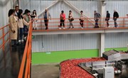 新加坡商贸团来宁县考察苹果产业