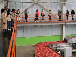 新加坡商贸团来宁县考察苹果产业