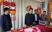 段登云督查调研农文旅融合发展情况