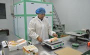 宁县：以“三抓三促”行动持续推动农村群众就近就业增收