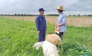 庆枫义警中队：“公道人”+“红黄蓝”三色调处法 推动矛盾纠纷就地化解