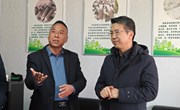 段登云督查调研重大项目开复工和重点工作推进情况