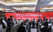 甘肃庆宁禾生新能源科技有限公司揭牌成立 