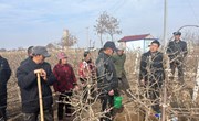 宁县：早春田间管护忙 农技指导来助力
