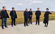省农科院到宁县调研推进粮食大面积单产提升示范区建设工作