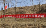 米桥镇开展春季义务植树活动