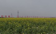 宁县全力保障2025数字中国创新大赛低空经济赛道农林植保场景赛