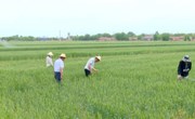 宁县：全力抗旱保夏 多措并举稳生产