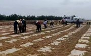 九岘乡：多措并举做好抗旱保苗工作