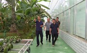 张林带领采访组来我县调研采访