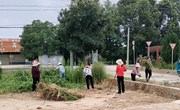 太昌镇：干群齐动手 乡村焕新颜